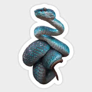 White-lipped island pit viper Sticker